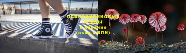 гидра Абинск