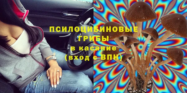 крисы Алексеевка